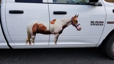vehicle graphics Photo